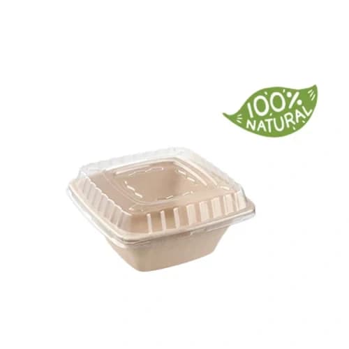 Bagasse Bowls-3