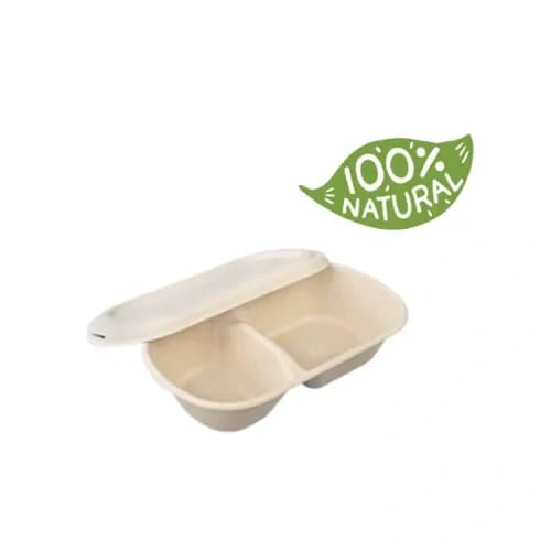 Bagasse Boxes with Lids-3