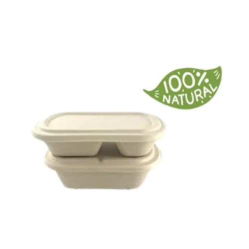Bagasse Boxes with Lids-4