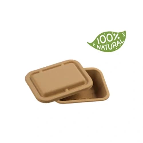 Bagasse Boxes with Lids-5