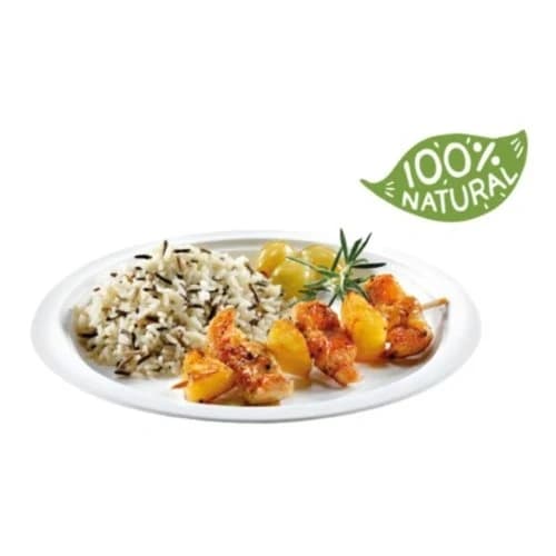 Bagasse Plates-2