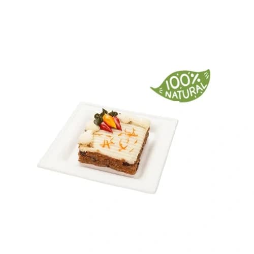 Bagasse Plates-3