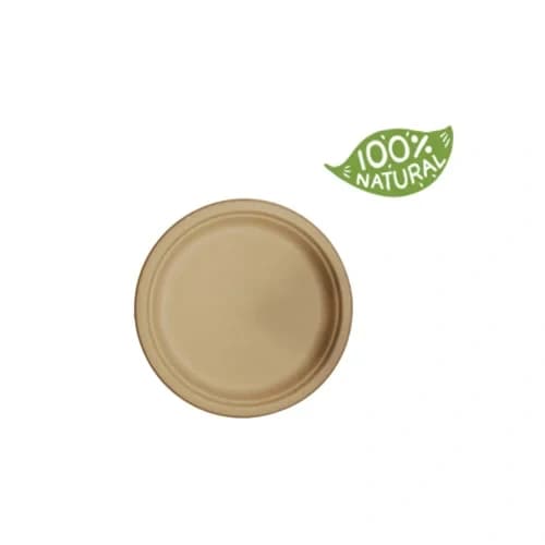 Bagasse Plates-4