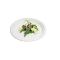 Bagasse Plates