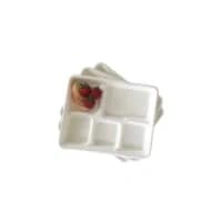 Bagasse Trays-1