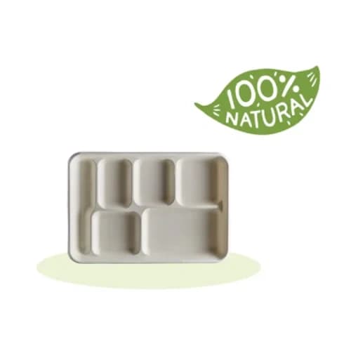 Bagasse Trays-2