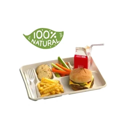 Bagasse Trays-3