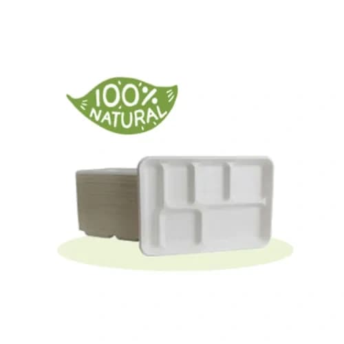 Bagasse Trays-4