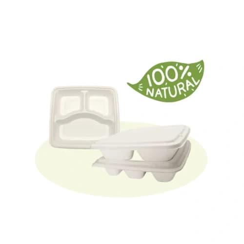 Bagasse Trays-5