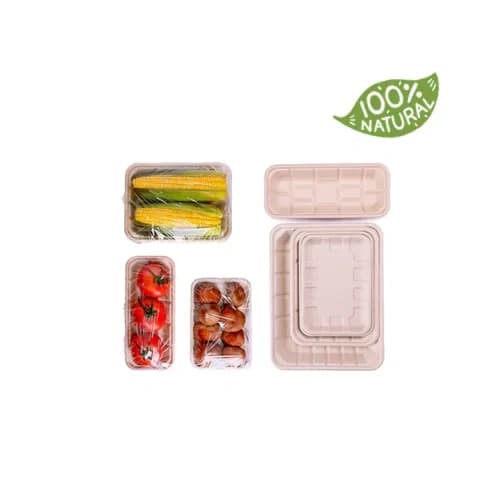 Bagasse Trays-6