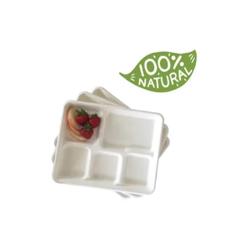Bagasse Trays-7