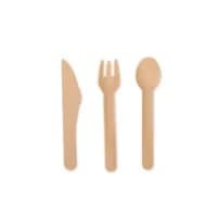 Paper Cutlery
