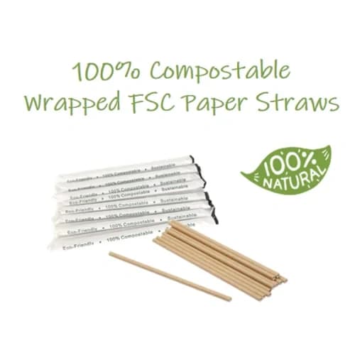 Paper Straws-7