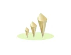 180 | Wooden Cones