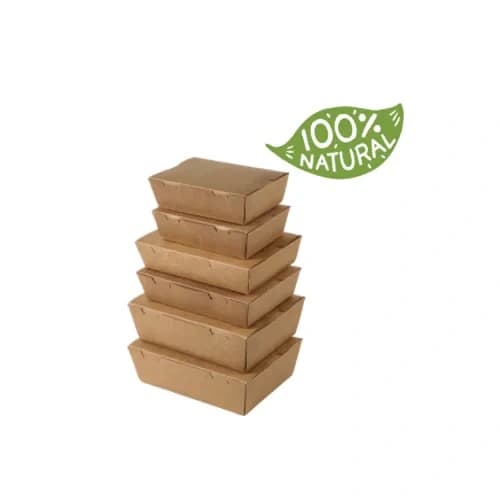 Salad Boxes-3