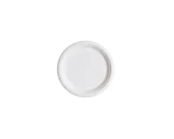 P004 | 6'' Bagasse Plate
